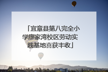 宜章县第八完全小学廖家湾校区劳动实践基地喜获丰收